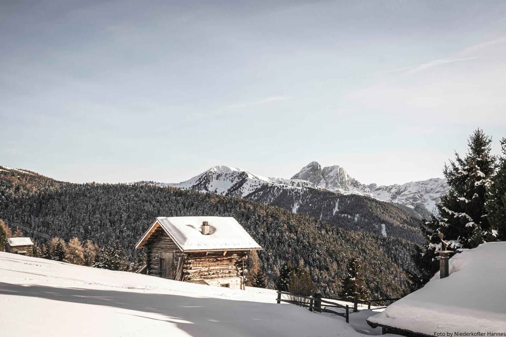 Grosskarnaiderhof Appartements-Bauernhof-Natur Pur Luson Esterno foto